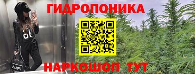 твердый Берёзовский