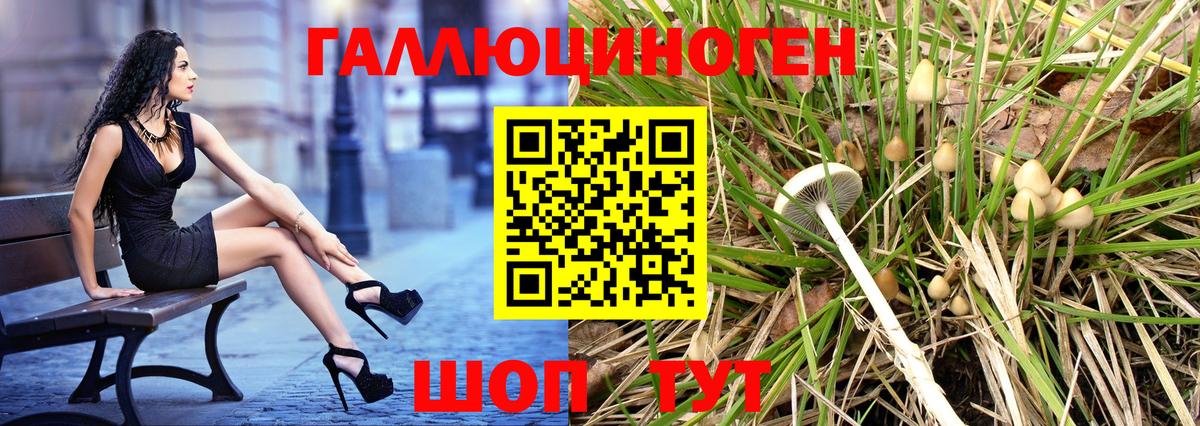 Псилоцибиновые грибы прущие грибы Вышний Волочёк